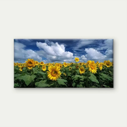 Vibrant Sunflower Field Blue SkyWall Art Canvas Office Home Room Framed 120x60cm