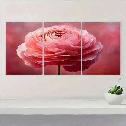 3pcs Pink Ranunculus Soft Pastel Flower  Wall Art Set Canvas Unframed - High Quality Print 100% Australian Made Wall Canvas