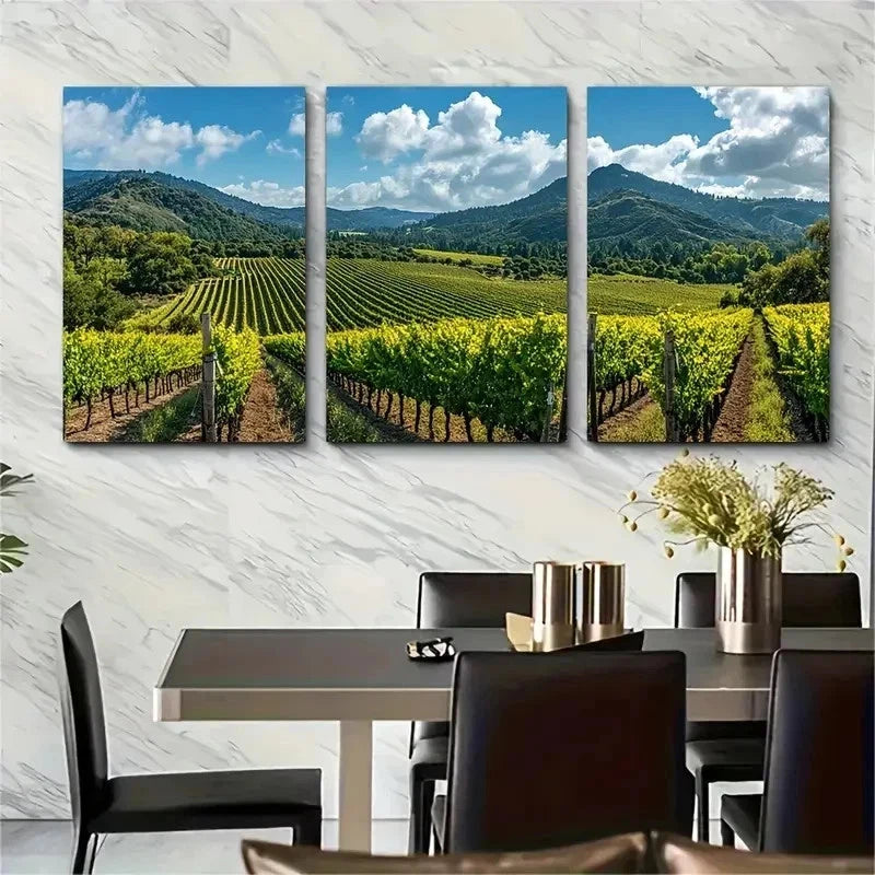 3pcs Napa Valley Vineyards & Mayacamas Perfect Wall Art Set Canvas Framed 50x70cm - High Quality Print 100% Australian Made Wall Canvas Ready to Hang