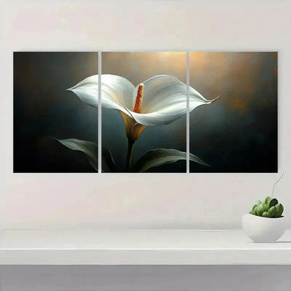 3pcs Modern Nature-Inspired Décor Perfect Wall Art Set Canvas Framed 60x90cm - High Quality Print 100% Australian Made Wall Canvas Ready to Hang
