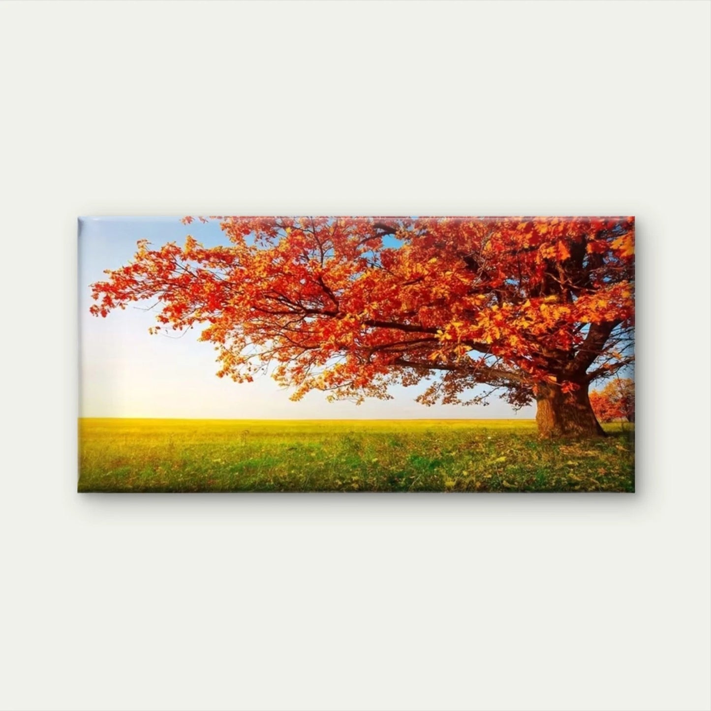 Solitary Tree in Field Autumn Wall Art Canvas Office Home Room Framed 120x60cm