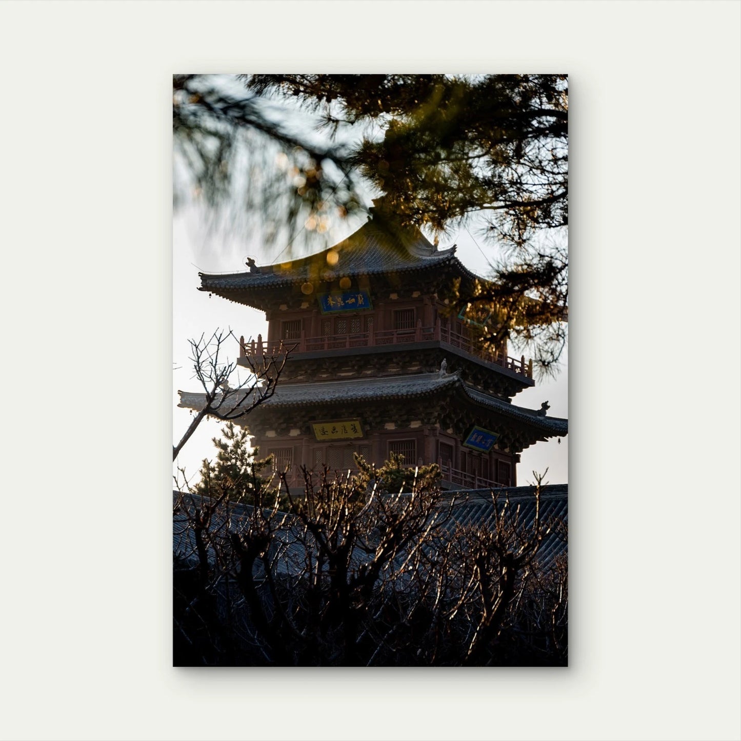 Moody Sunset Pagoda Pine Branches Silhouette 40x60cm Metal Print Ready to Hang