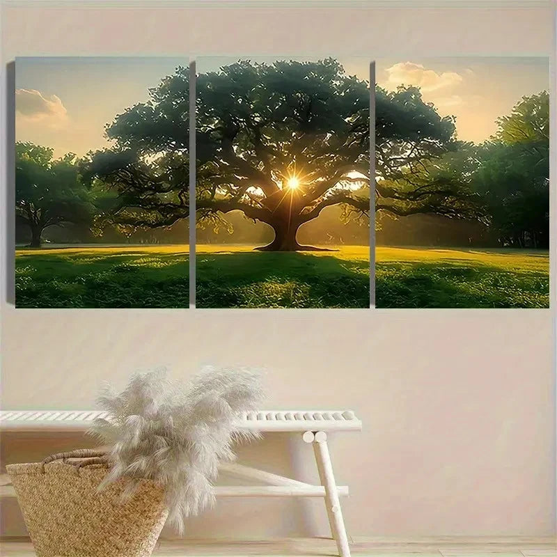 3pcs Oak Tree at Sunrise Photography Wall Art Set Canvas Framed 50x70cm - High Quality Print 100% Australian Made Wall Canvas Ready to Hang
