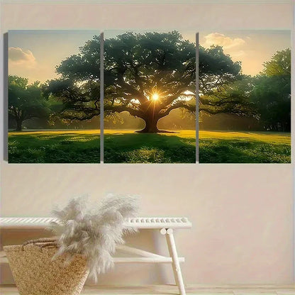 3pcs Oak Tree at Sunrise Photography Wall Art Set Canvas Framed 50x70cm - High Quality Print 100% Australian Made Wall Canvas Ready to Hang