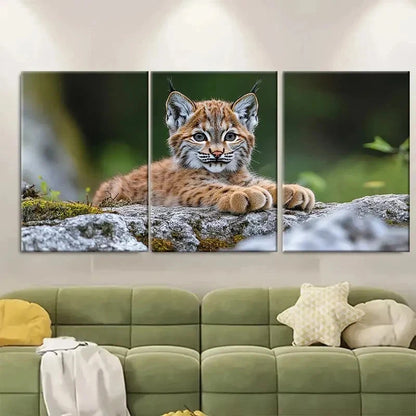 3pcs Curious Lynx Cub Wild Animal RY   Wall Art Set Canvas Framed 50x70cm - High Quality Print 100% Australian Made Wall Canvas Ready to Hang - Bella Home Decor