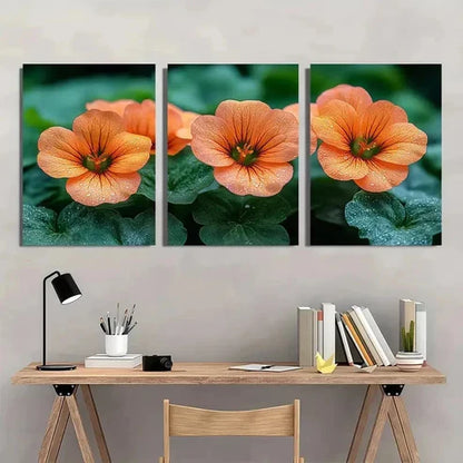 3pcs Vibrant Orange Nasturtium Flower Wall Art Canvas Unframed - High Quality Print 100% Australian Made Wall Canvas - Bella Home Decor