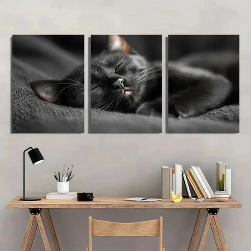 3pcs Black Cat Sleeping Vintage Aesthetic  Wall Art Set Canvas Unframed - High Quality Print 100% Australian Made Wall Canvas - Bella Home Decor