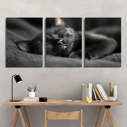 3pcs Black Cat Sleeping Vintage Aesthetic  Wall Art Set Canvas Unframed - High Quality Print 100% Australian Made Wall Canvas - Bella Home Decor