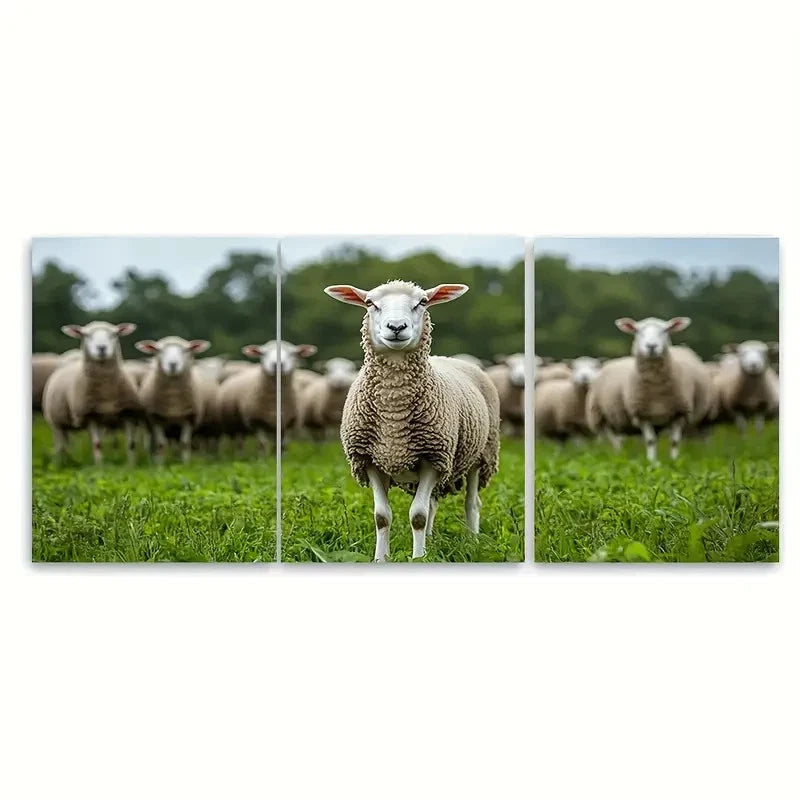 3pcs Sheep Flock Nature Photography Wall Art Set Canvas Framed 50x70cm - High Quality Print 100% Australian Made Wall Canvas Ready to Hang