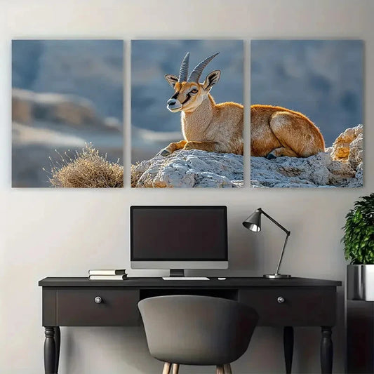 3pcs Nubian Ibex on Makhtesh Ramon Cliffs Wildlife Wall Art Set Canvas Framed 40x60cm - High Quality Print 100% Australian Made Wall Canvas Ready to Hang