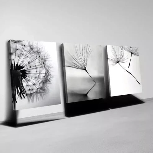 3pcs Interesting Simple Dandelion Black & White Canvas Unframed - High Quality Print 100% Australian Made Wall Canvas