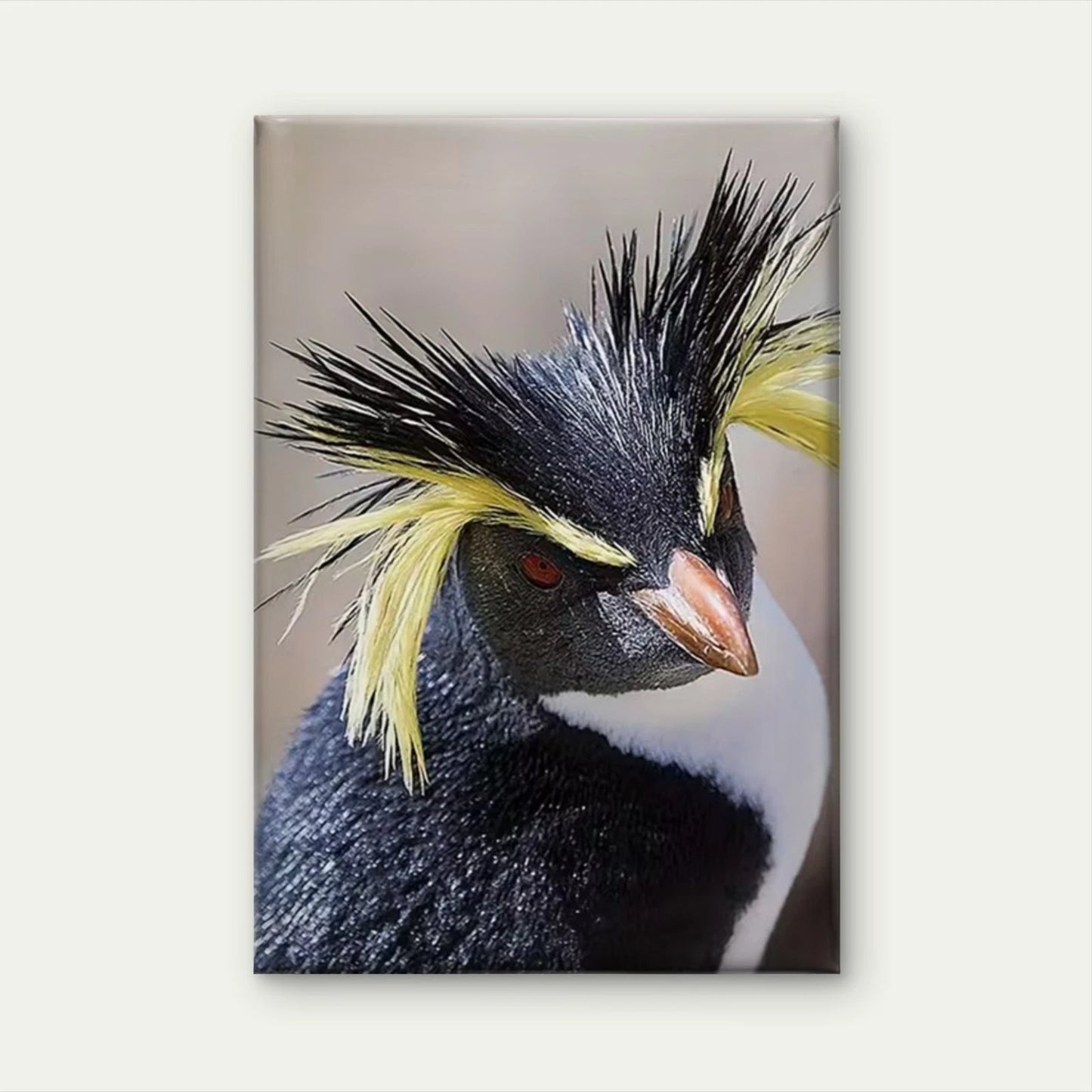 Distinctive Black & Yellow Spiky Feathers Metal Print Ready to Hang