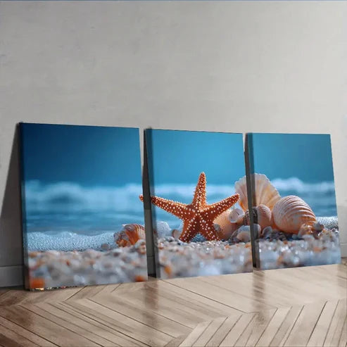 3pcs Sea Shells and Starfish Perfect for Décor Wall Art Set Canvas Unframed - High Quality Print 100% Australian Made Wall Canvas