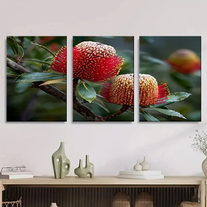 3pcs Banksia Australian Wild flower Wall Art Set Canvas Framed 40x60cm - High Quality Print 100% Australian Made Wall Canvas Ready to Hang - Bella Home Decor