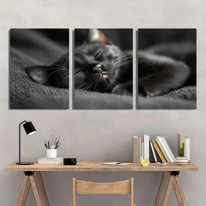 3pcs Black Cat Sleeping Vintage Aesthetic Wall Art Set Canvas Framed 40x60cm - High Quality Print 100% Australian Made Wall Canvas Ready to Hang - Bella Home Decor