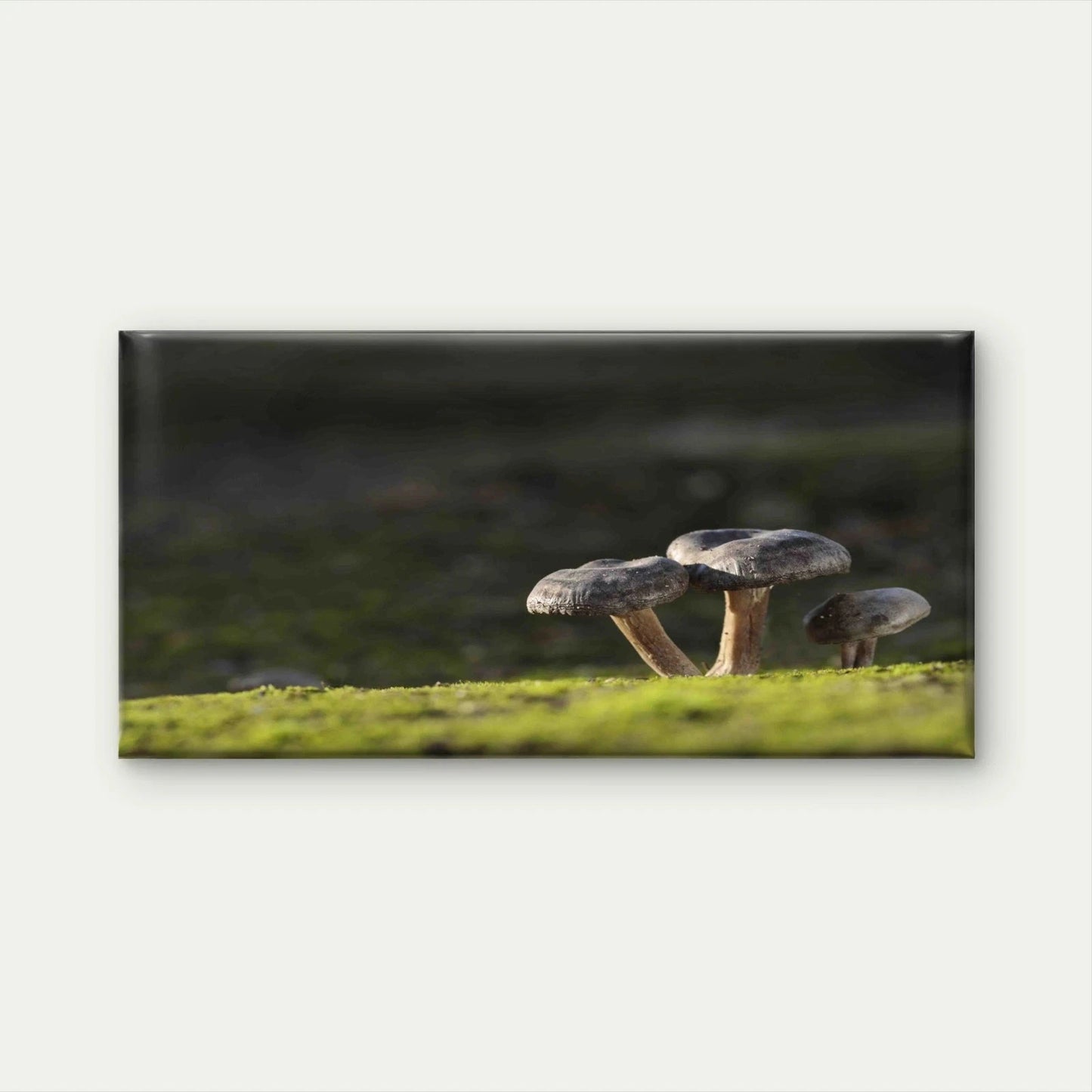 Edible Mushrooms Grass Forest Wall Art Canvas Office Home Room Framed 120x60cm