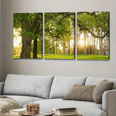 3pcs sunshine & Green Shade Nature Triptych Wall Art Set Canvas Unframed - High Quality Print 100% Australian Made Wall Canvas