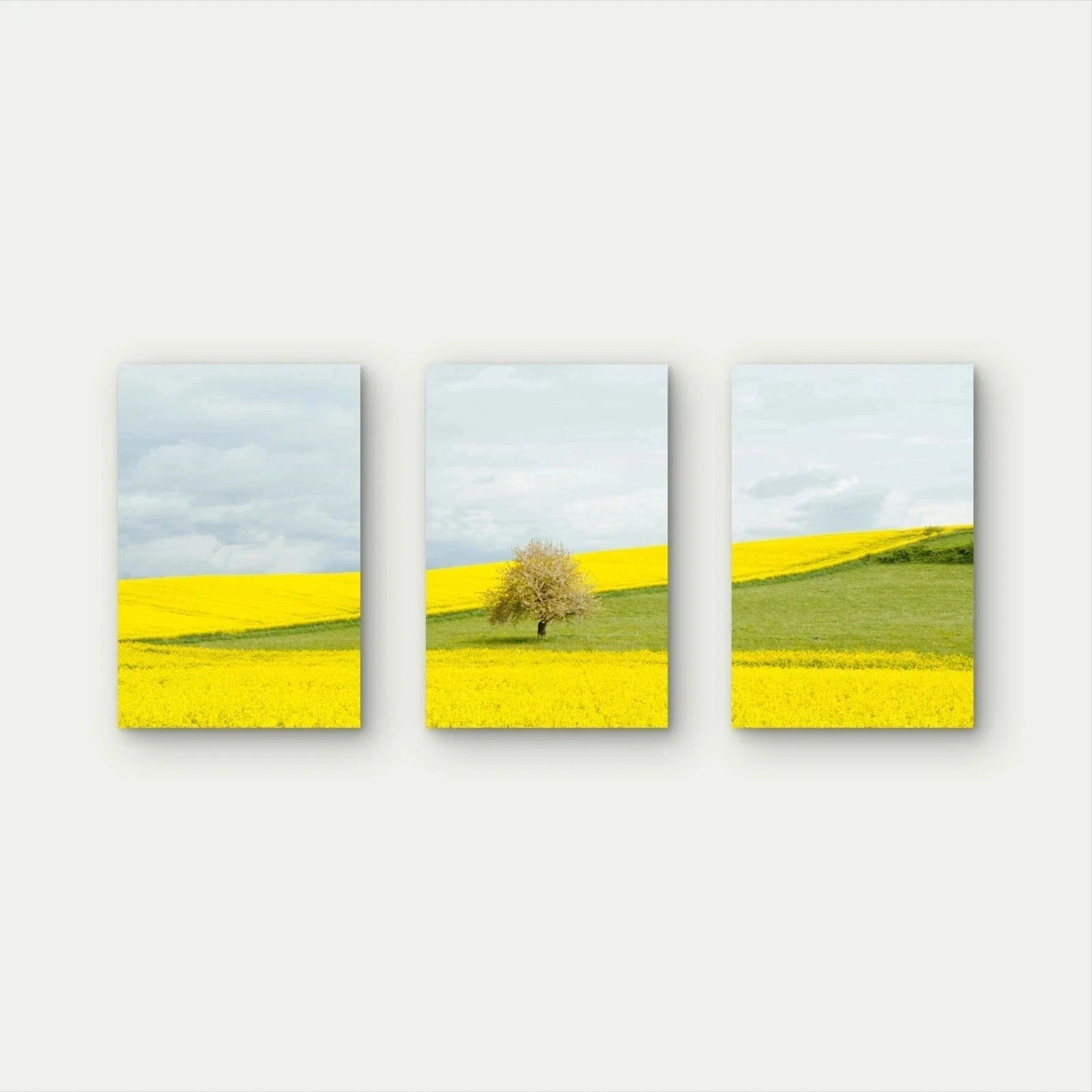3pcs Yellow Countryside Field Collage Wall Art Set Canvas Framed 50x70cm - High Quality Print 100% Australian Made Wall Canvas Ready to Hang