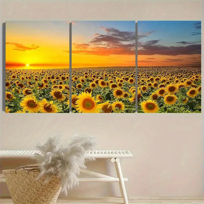 3pcs Sunrise Sunflower Field Wall Art Set Canvas Framed 50x70cm - High Quality Print 100% Australian Made Wall Canvas Ready to Hang