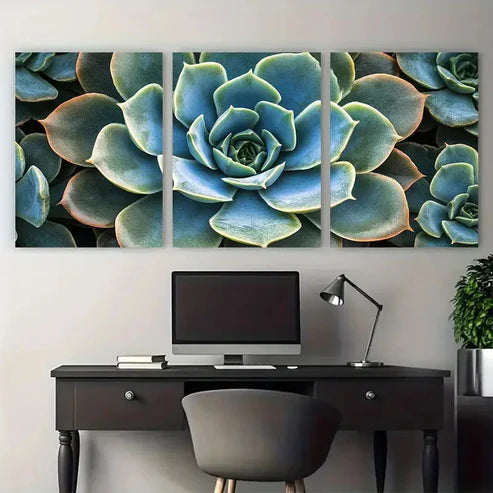 3pcs Echeveria Succulent Macro Botanical Wall Art Canvas Unframed – High Quality Print 100% Australian Made Wall Canvas - Bella Home Decor