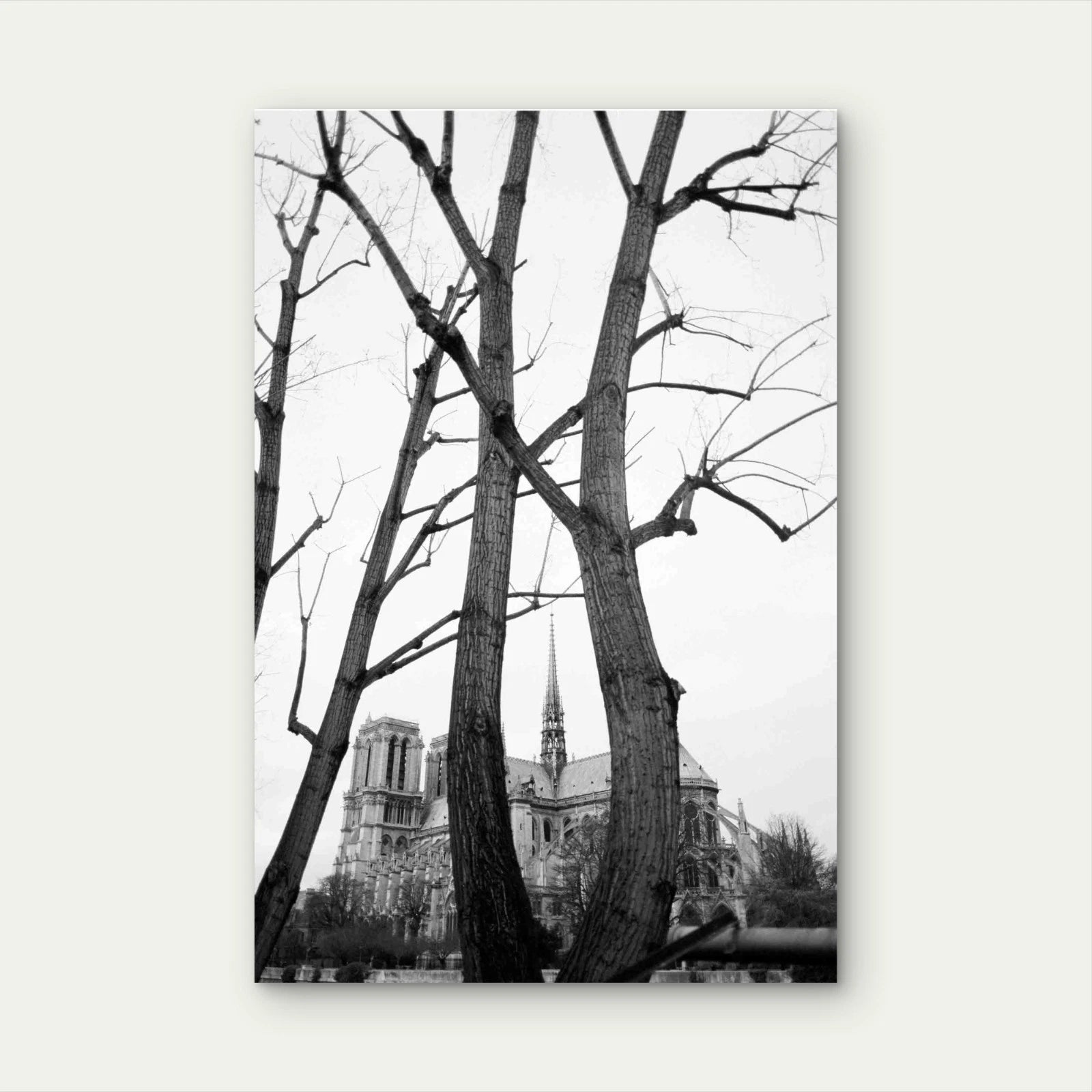 Trees Mansion Black White 40x60cm Metal Print Ready to Hang - Bella Home Decor
