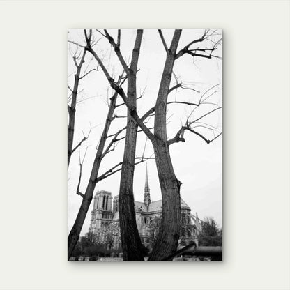 Trees Mansion Black White 40x60cm Metal Print Ready to Hang - Bella Home Decor