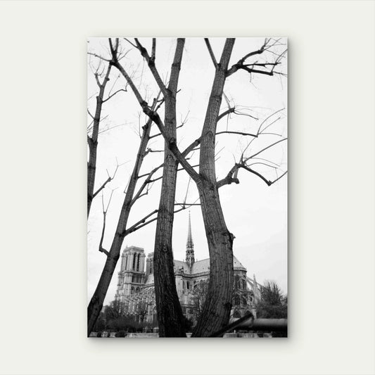 Trees Mansion Black White 40x60cm Metal Print Ready to Hang