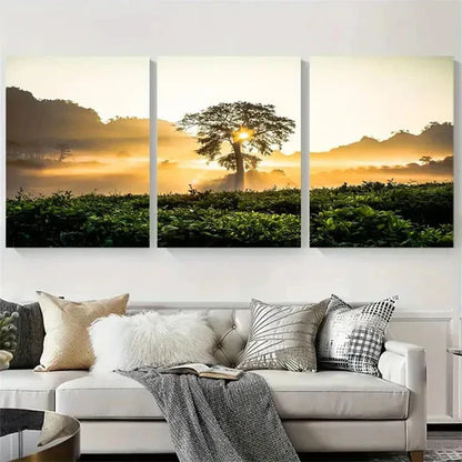 3pcs Golden Sunrise Over Tea Plantation Wall Art Canvas Unframed - High Quality Print 100% Australian Made Wall Canvas - Bella Home Decor