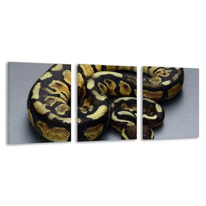 3pcs Intricate Scales Of A Ball Python Wall Art Set Canvas Framed 40x60cm - High Quality Print 100% Australian Made Wall Canvas Ready to Hang