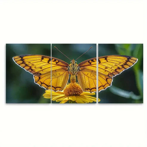 3pcs Vibrant Yellow Butterfly on Flower Nature Wall Art Canvas Unframed - High Quality Print 100% Australian Made Wall Canvas