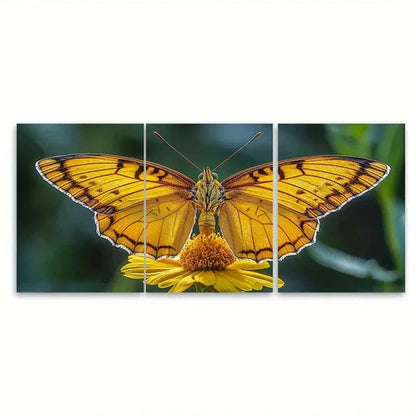 3pcs Vibrant Yellow Butterfly on Flower Nature Wall Art Canvas Unframed - High Quality Print 100% Australian Made Wall Canvas