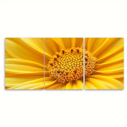 3pcs Vibrant Yellow Flower Macro Photography Wall Art Set Canvas Framed 60x90cm - High Quality Print 100% Australian Made Wall Canvas Ready to Hang