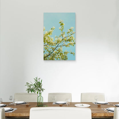 Spring Blossom Tree Branches Against Clear Blue Sky 40x60cm Metal Print Ready to Hang
