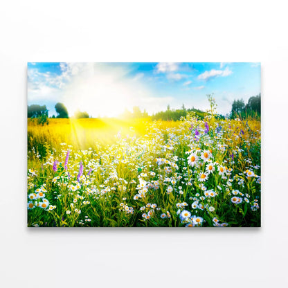 Sun-Drenched Spring Summer Meadow Wall Art Decor 100% Australian Made - Bella Home Decor