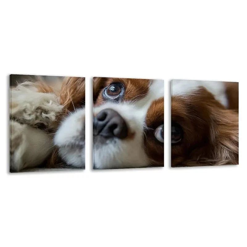 3pcs Cavalier King Charles Spaniel Dog   Wall Art Set Canvas Framed 60x90cm - High Quality Print 100% Australian Made Wall Canvas Ready to Hang - Bella Home Decor