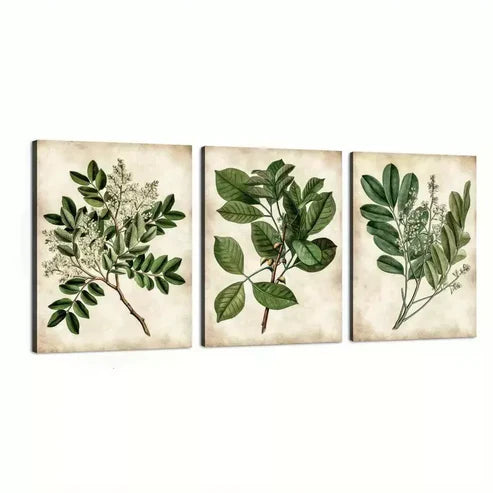 3pcs Abstract Green Leaves Botanical Vintage Wall Art Canvas Unframed - High Quality Print 100% Australian Made Wall Canvas