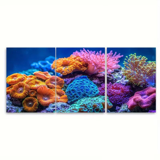 3pcs Coral Close Up Colorful Saltwater Aquarium Metal Print Ready to Hang Art