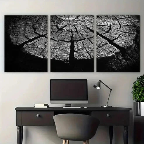3pcs Abstract Monochrome Tree Trunk Cross Section Wall Art Set Canvas Unframed - High Quality Print 100% Australian Made Wall Canvas - Bella Home Decor