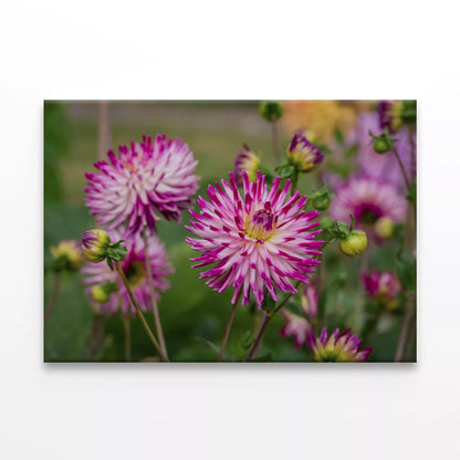 Beautiful Flowers In the Garden  Wall Art Decor 100% Australian Made - Bella Home Decor