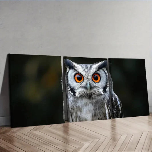 3pcs A photo of an owl with orange eyes Wall Art Set Canvas Framed 40x60cm - High Quality Print 100% Australian Made Wall Canvas Ready to Hang