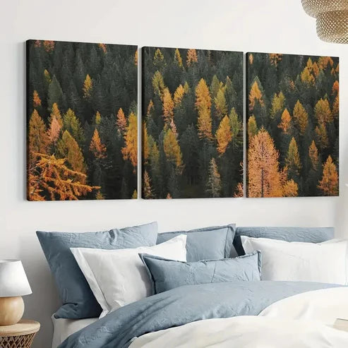 3pcs Autumn Pine Forest Colorado Scenery Wall Art Set Canvas Unframed - High Quality Print 100% Australian Made Wall Canvas - Bella Home Decor