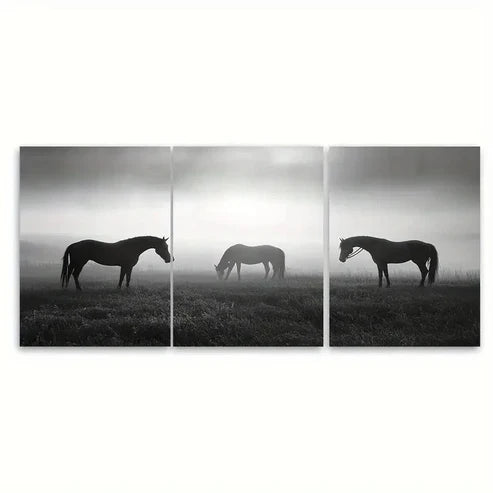 3pcs Minimal Equisterian Horse Monochrome Wall Art Canvas Unframed - High Quality Print 100% Australian Made Wall Canvas