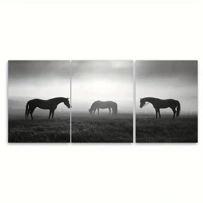 3pcs Minimal Equisterian Horse Monochrome Wall Art Canvas Unframed - High Quality Print 100% Australian Made Wall Canvas
