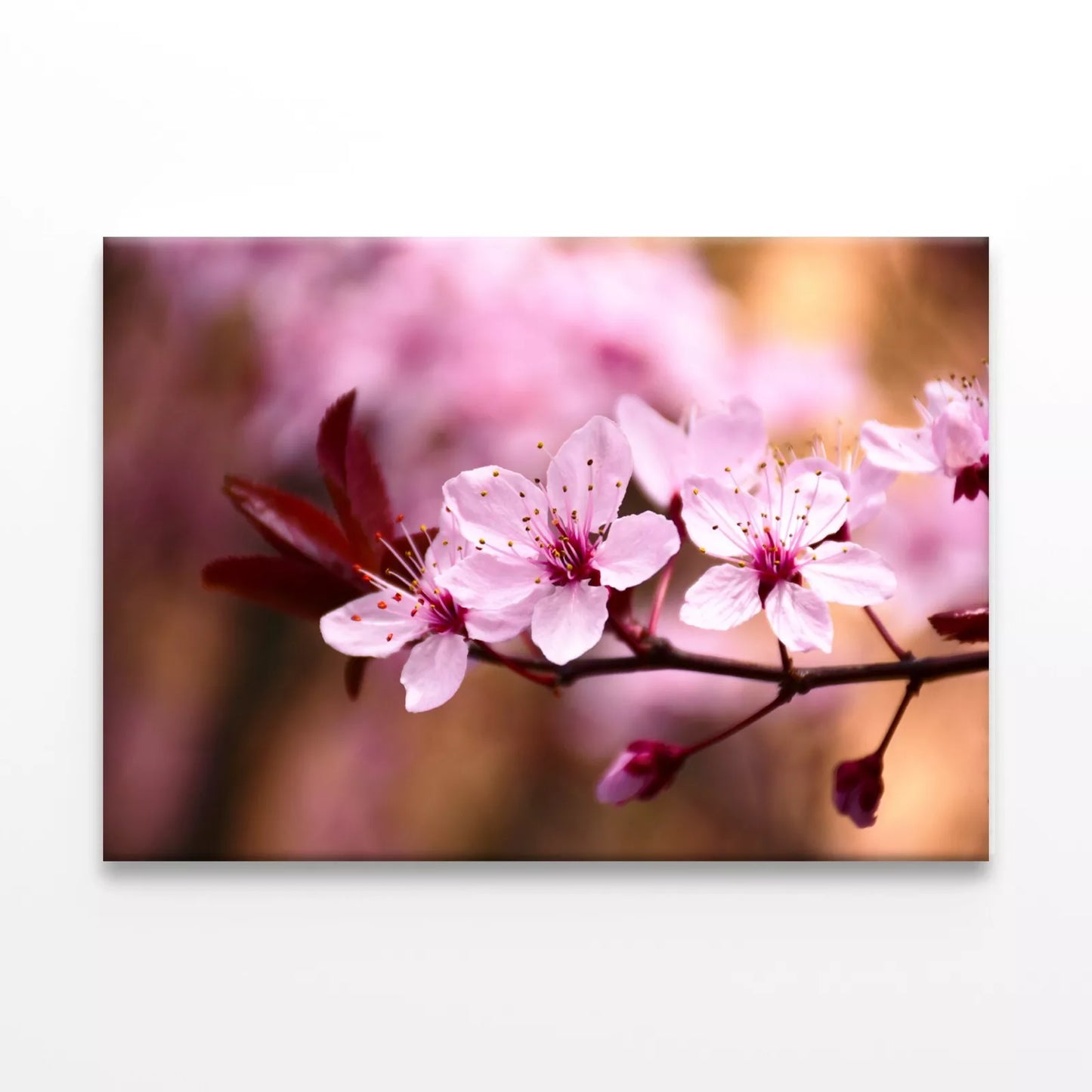 Peach Tree Branch With Blossom Wall Art Decor 100% Australian Made - Bella Home Decor