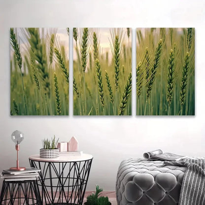 3pcs Green Wheat Fields Scene Wall Art Set Canvas Framed 50x70cm - High Quality Print 100% Australian Made Wall Canvas Ready to Hang
