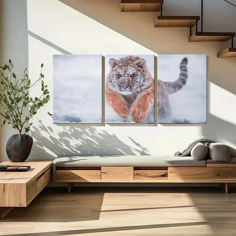 3pcs Striking Snowy Tiger in Action Wall Art Set Canvas Framed 50x70cm - High Quality Print 100% Australian Made Wall Canvas Ready to Hang