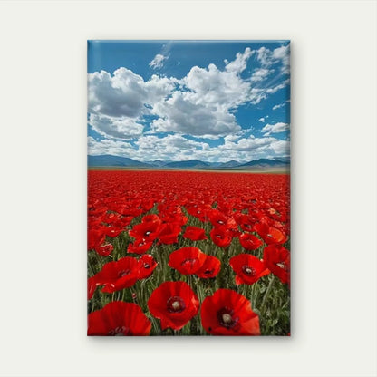 Red Poppy Field Expanse 60x90cm Metal Print Ready to Hang