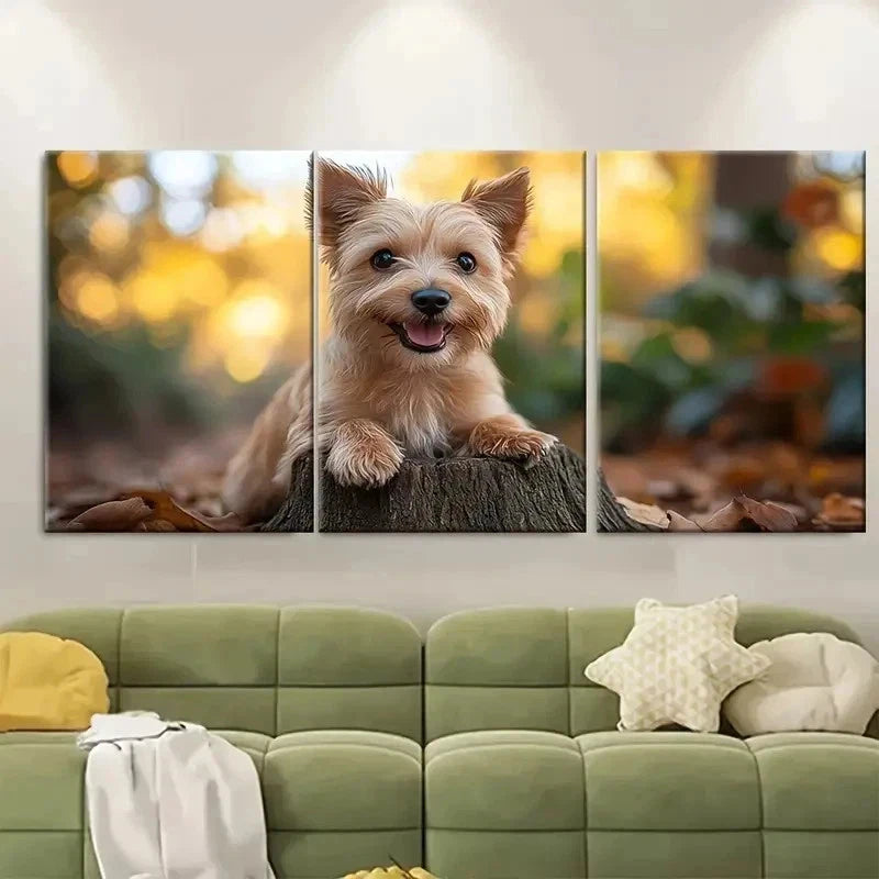 3pcs Norwich Terrier Dog BT  Wall Art Set Canvas Framed 40x60cm - High Quality Print 100% Australian Made Wall Canvas Ready to Hang