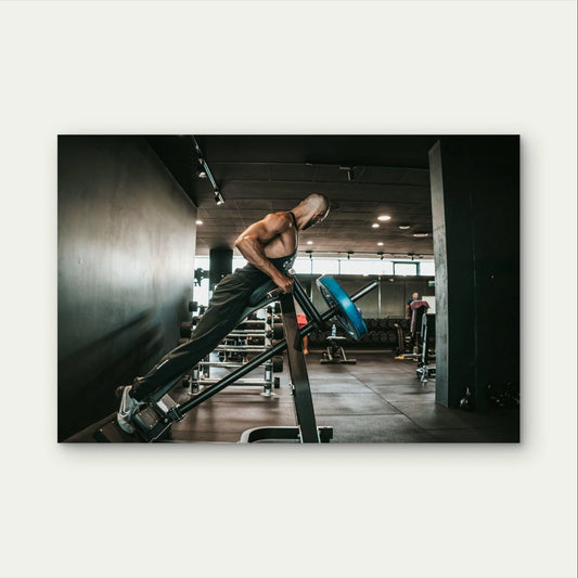 T-Bar Row Back Exercise Fitness 5mm Plastic Poster Ready to Hang 90x60cm
