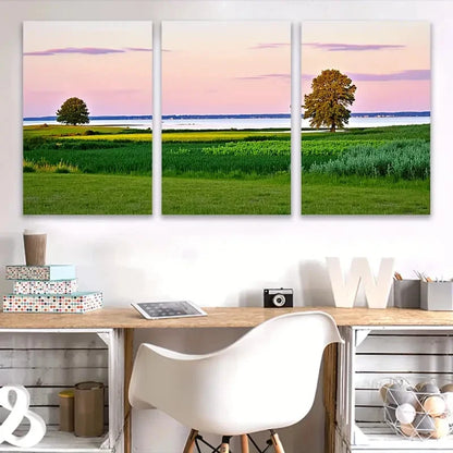3pcs Vertical Nature Scenes with Vibrant Sunset  Wall Art Set Canvas Framed 50x70cm - High Quality Print 100% Australian Made Wall Canvas Ready to Hang
